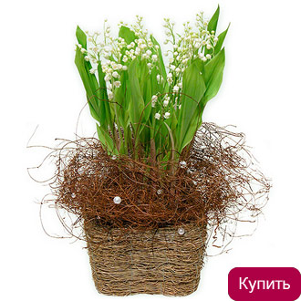 Ландыши Саратов