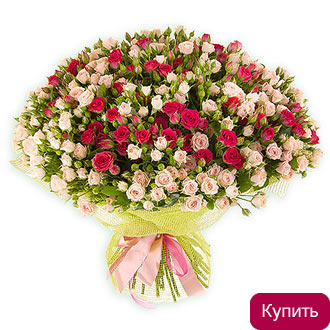 Розовые и кремовые кустовые розы