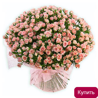 Розовые кустовые розы