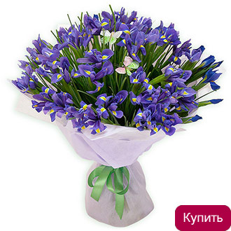 Букет из ирисов Ультрафиолет